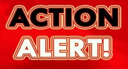 Action Alert Action Alert